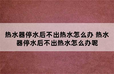 热水器停水后不出热水怎么办 热水器停水后不出热水怎么办呢